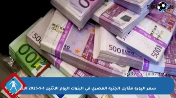 سعر اليورو مقابل الجنيه المصري في البنوك اليوم الاثنين 1-9-2025 الآن